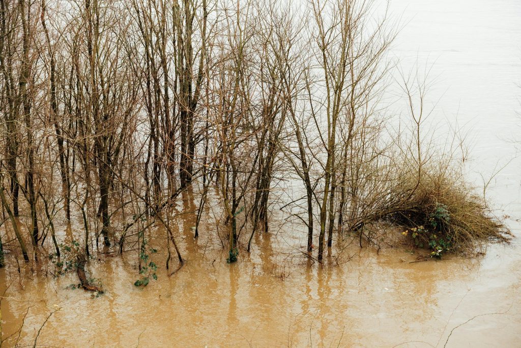 Image representation of floods. PHOTO/Pexels