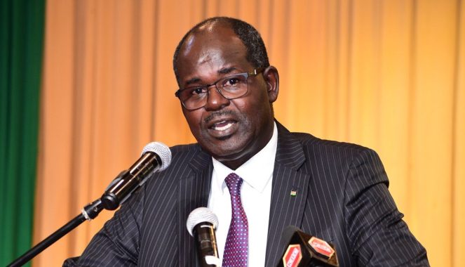 Newly appointed Hustler Fund Non-Executive Chairperson Habil Olaka. PHOTO/@KenyaBankers/X