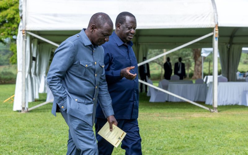 President William Ruto With Raila Odinga. PHOTO/@RailaOdinga/X