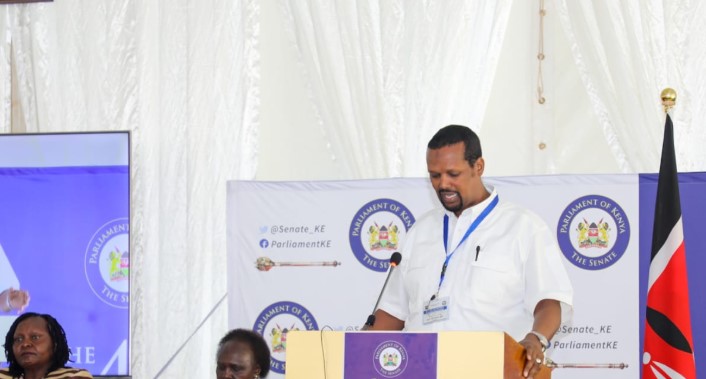 Mandera Senator Ali Ibrahim Roba speaking during a past event. PHOTO/@Senate_KE/X