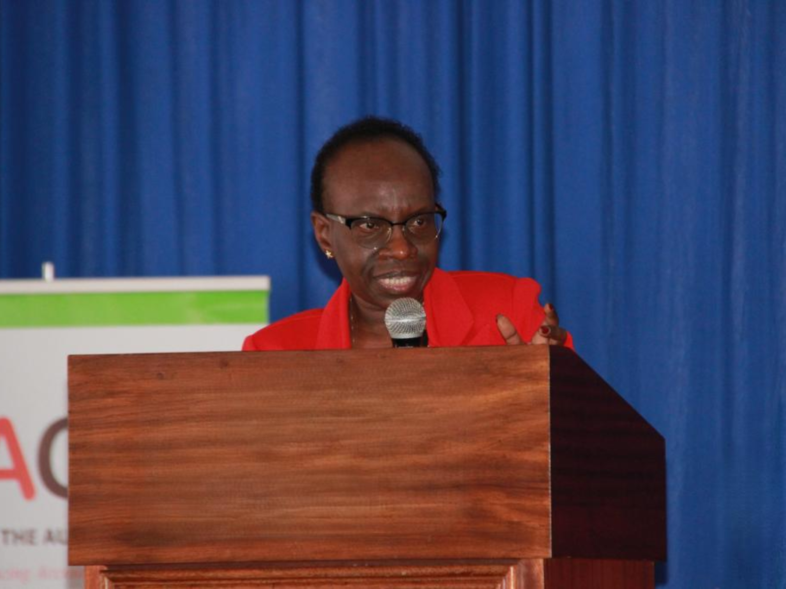 46% of employees at former DP’s office came from one ethnic group – Auditor General