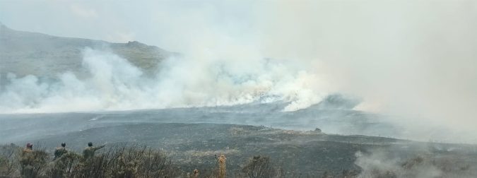 Vast stretches of land engulfed in flames. PHOTO/@KWSKenya/X