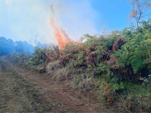 A raging inferno devours a bush. PHOTO/@KWSKenya/X