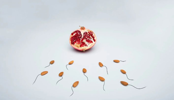 World's first sperm race to take place before live audience of 1,000