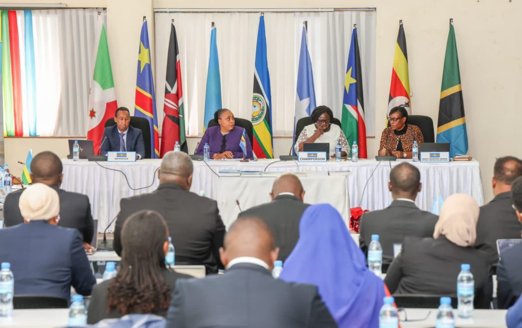 Officials from Kenya and other countries during a meeting in Tanzania on Friday, May 30, 2025. PHOTO/@Trade_Kenya/X