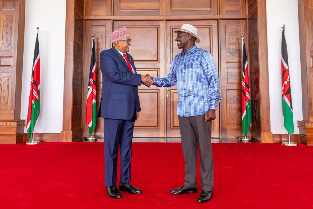 President William Ruto with Somaliland President Abdirahman Mohamed Abdillahi at the State House, Nairobi on May 29, 2025, after the strategic talks. PHOTO/@Presidencysl_/X