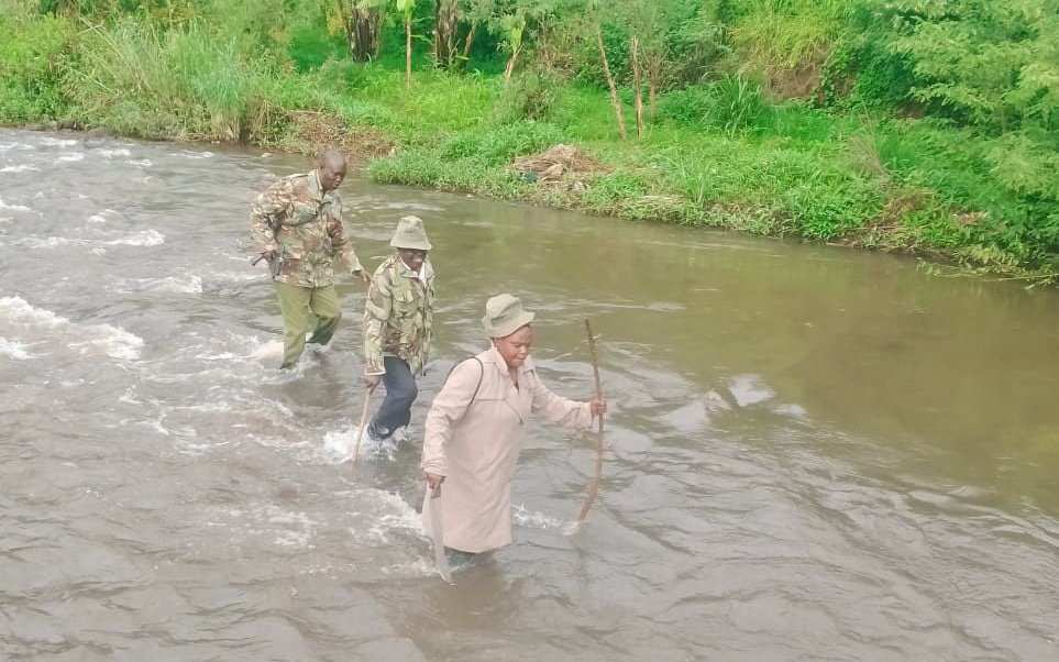 Officers wade through the river during the operation on June 5, 2025, where litres of kangara were discovered hidden in nearby thickets. PHOTO/@NPSOfficial_KE/X