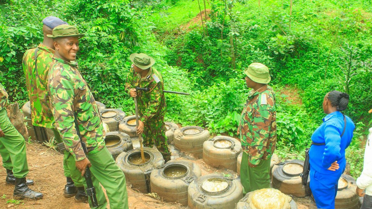 Police seize over 12K litres of illicit brews in Kisii multi-agency crackdown