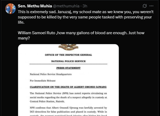 A post shared by John Methu on his X account on Sunday, June 8, 2025. PHOTO/Screengrab by K24 Digital from @methumuhia