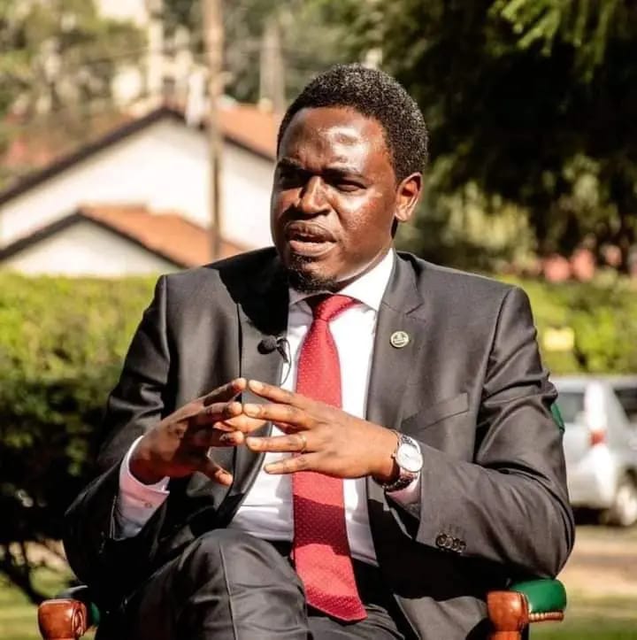 Havi mocks Passaris after her update on Ruto’s Ethiopia’s visit