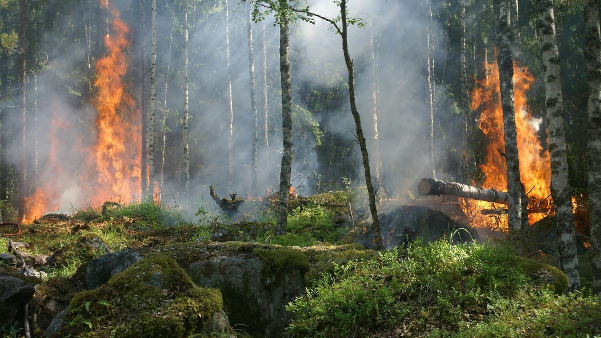 Major wildfire on Greek island leads to evacuations