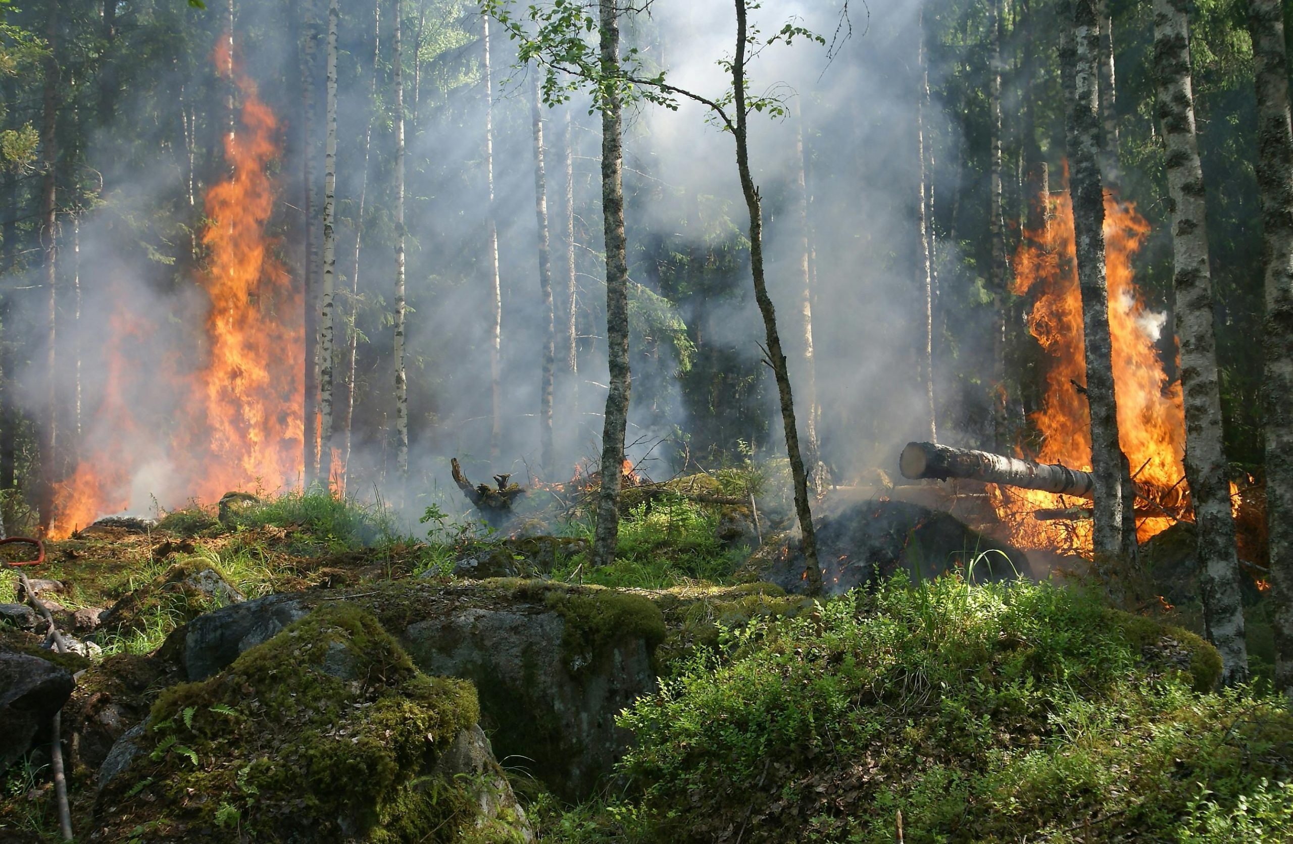 Major wildfire on Greek island leads to evacuations