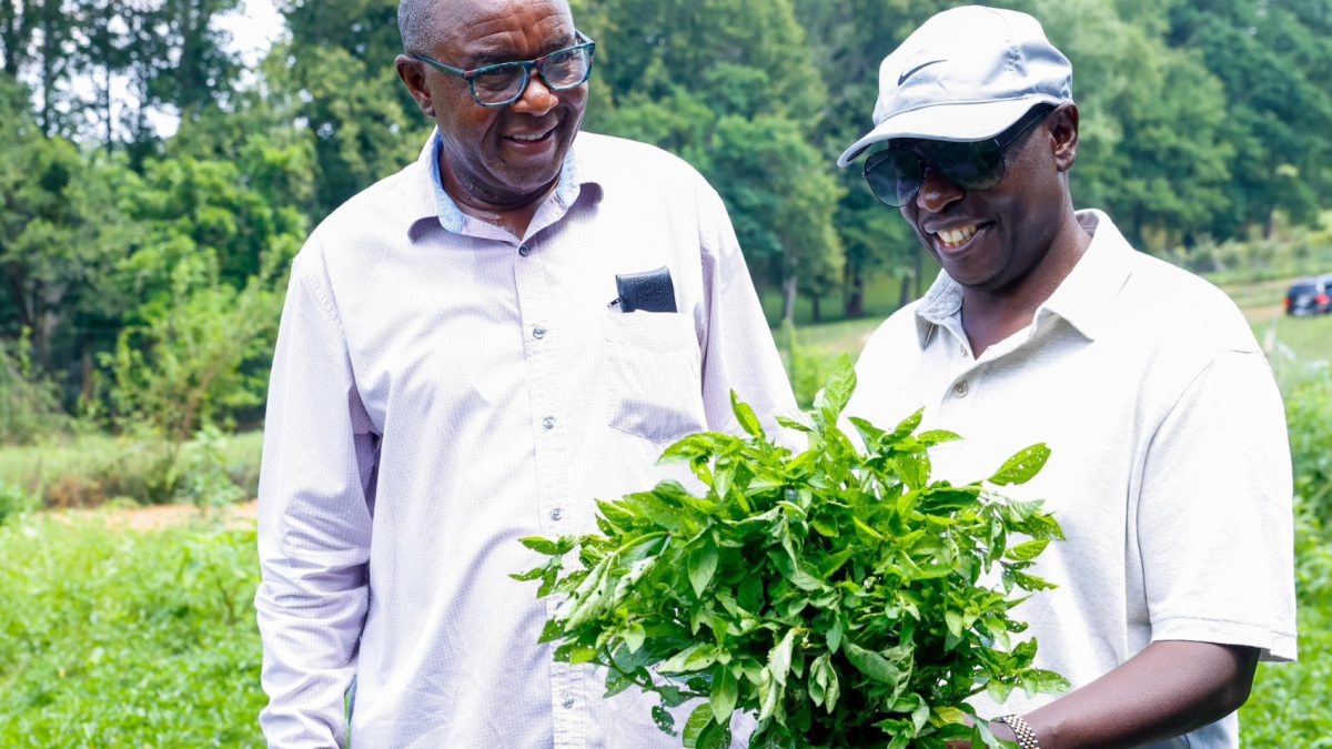Gachagua visits Kenyan farmer growing African traditional vegetables in USA
