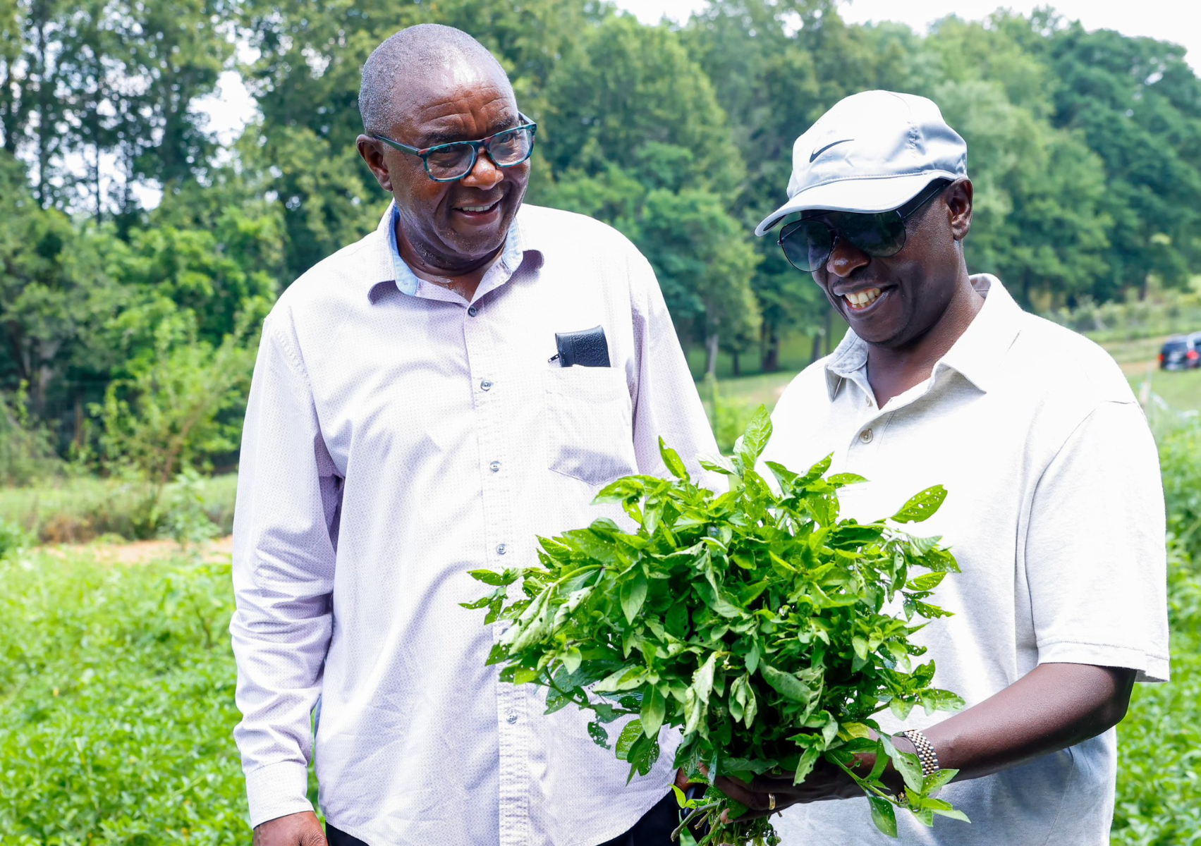 Gachagua visits Kenyan farmer growing African traditional vegetables in USA