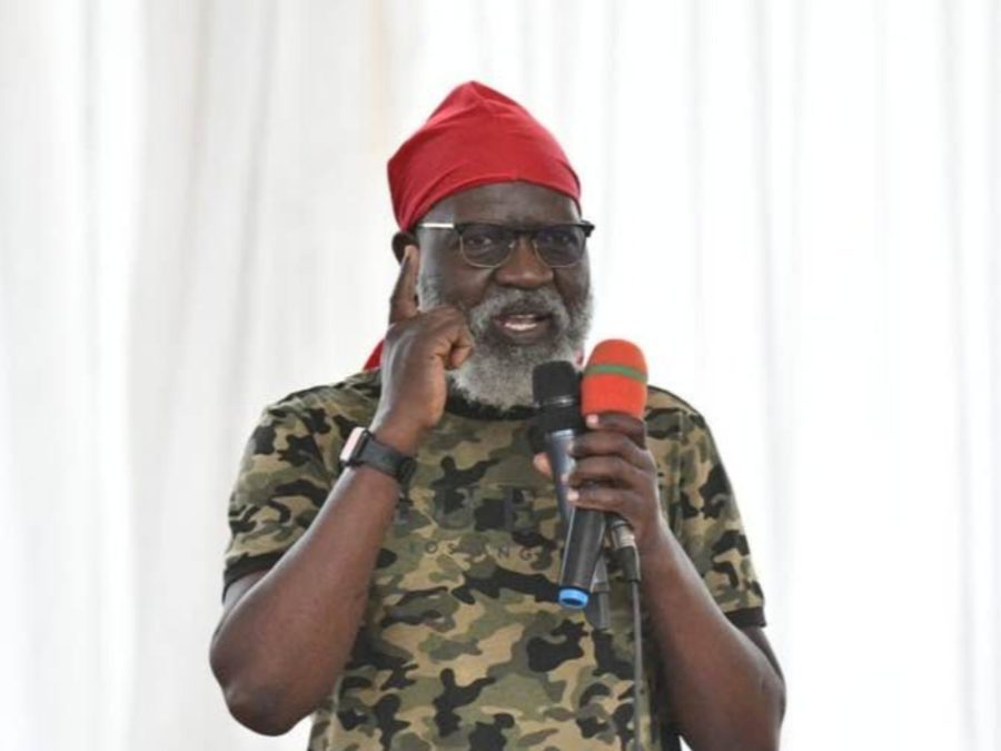 George Wajackoyah at a past event. PHOTO/@glwajackoyah/x