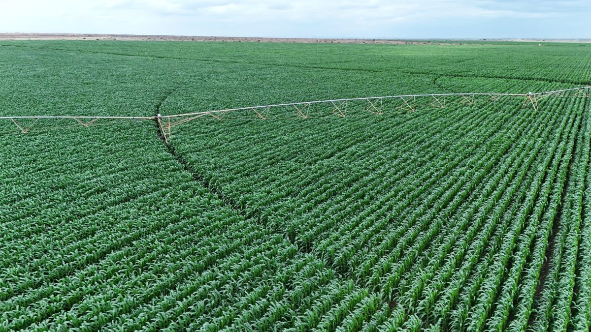 Ruto touts Galana-Kulalu as key to ending hunger in Kenya