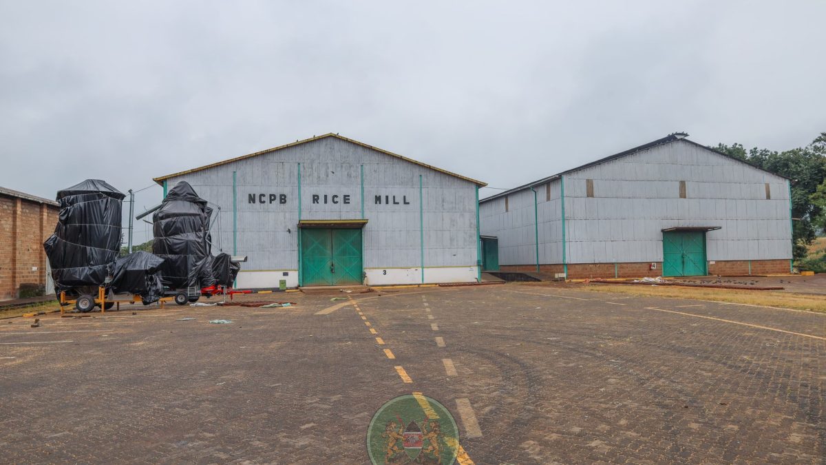 Sagana NCPB depot suffered Ksh6M loss in Saba Saba protest chaos – report
