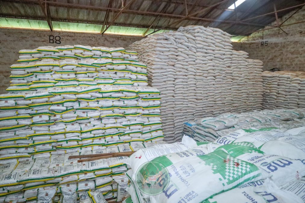 The Sagana NCPB facility. PHOTO/@kilimoKE/X