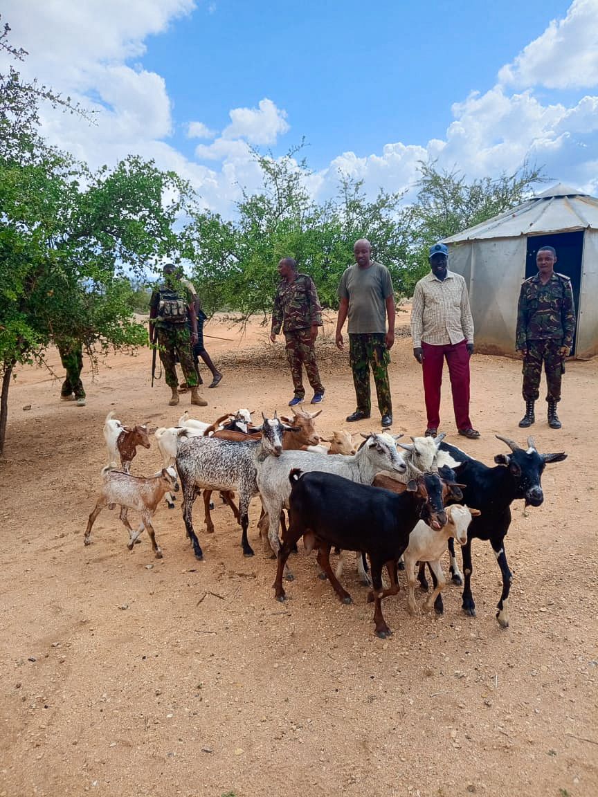 Stolen livestock recovered in Turkana after security operation