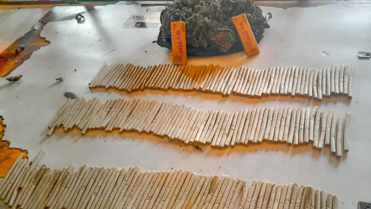 Police arrest two, seize 222 bhang rolls in Busia