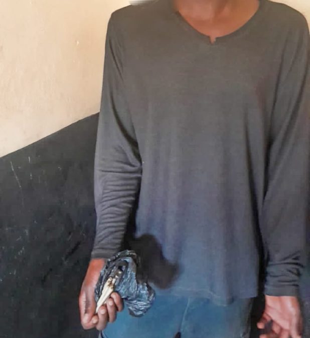 One of the arrested individuals with some of the rolls of bhang that was seized by the police in Busia on Friday, July 25, 2025. PHOTO/@NPSOfficial_KE/X