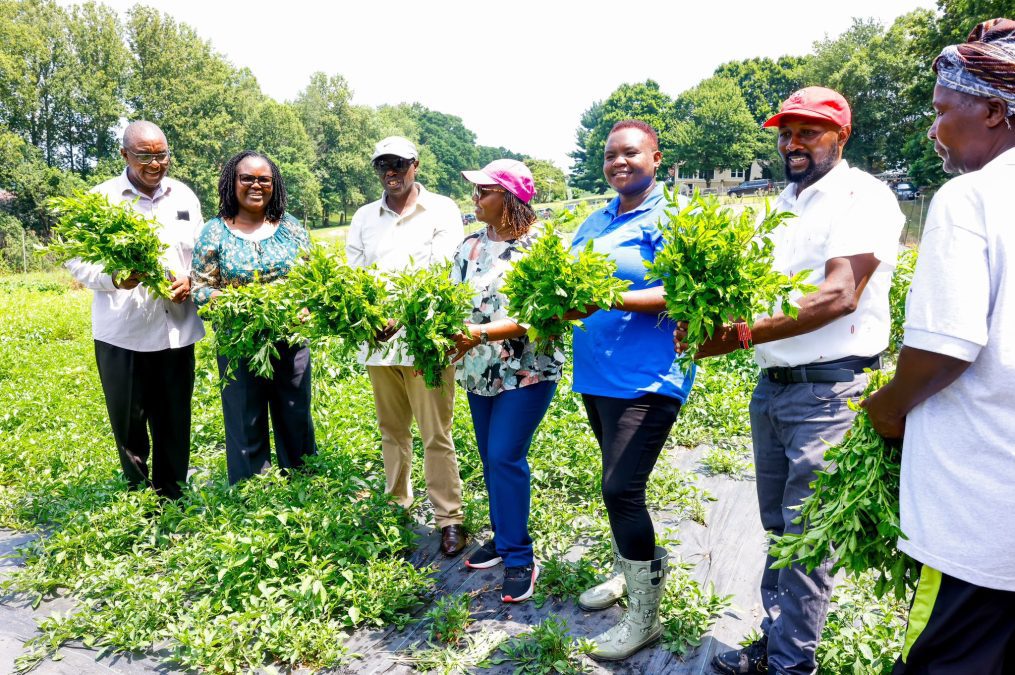 DCP party leader Rigathi Gachagua with other Kenyans at Prof. Charles Choti farm in the US. PHOTO/@rigathi
