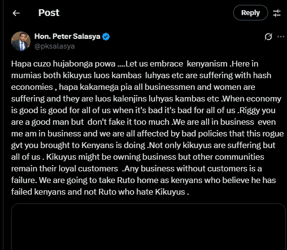A post shared by Peter Salasya on his X account. PHOTO/Screengrab by K24 Digital from @pksalasya