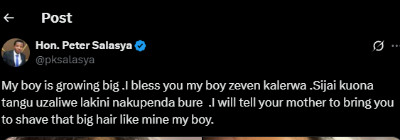 A post shared by Peter Salasya on his X account. PHOTO/Screengrab by K24 Digital from @pksalasya