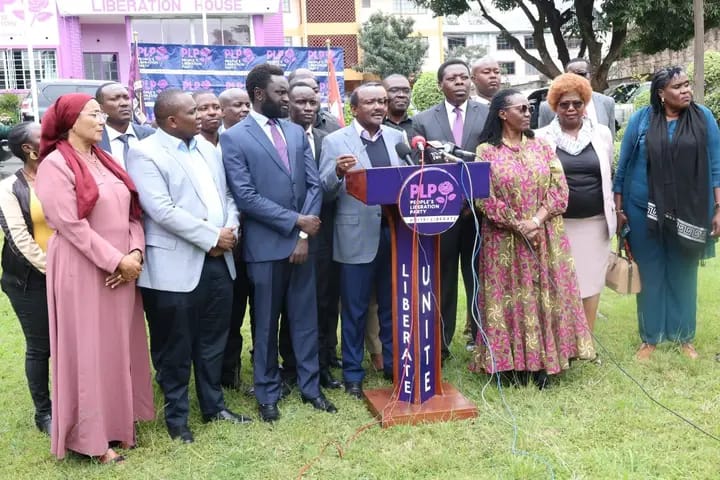 Opposition accuses government of planned assassinations