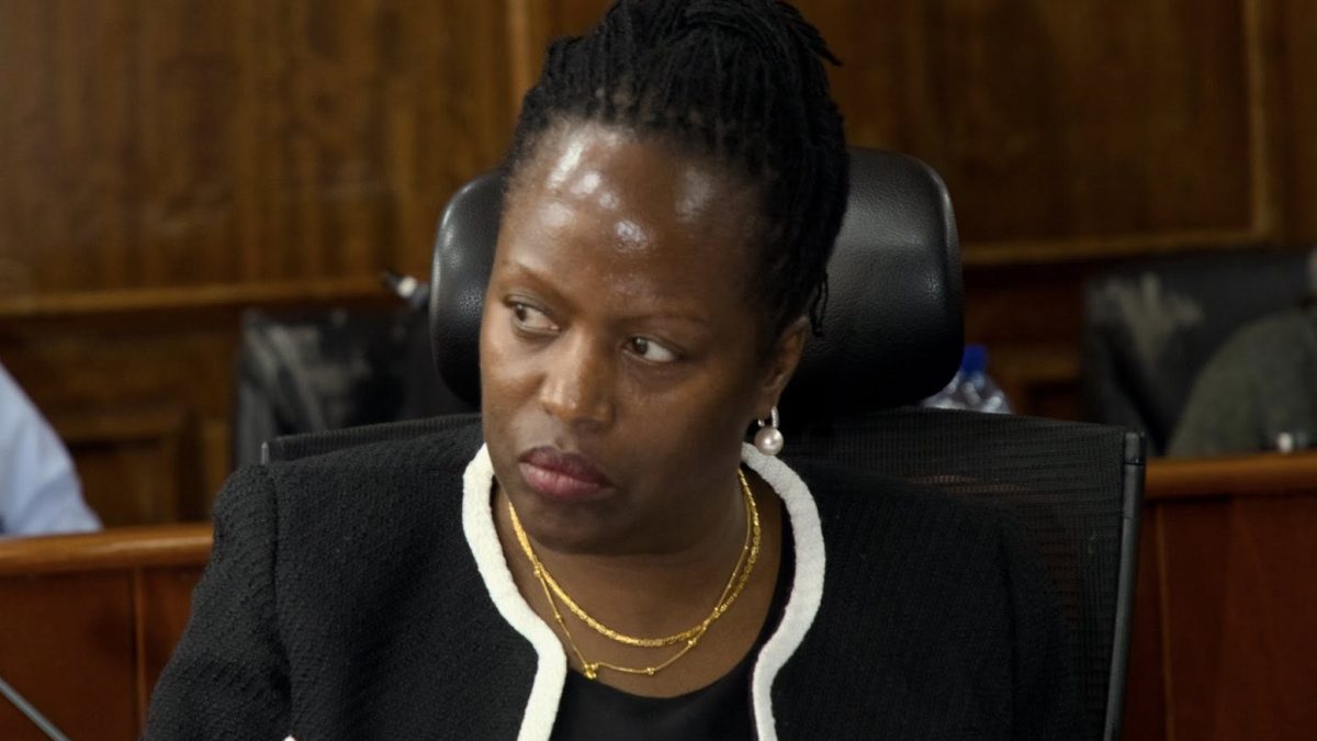 Judiciary defends achievements as it seeks budget increase