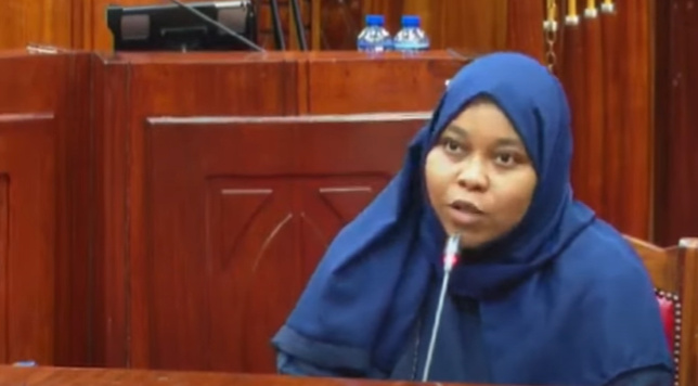 A screengrab of Fahima Araphat's vetting by the JLAC committee. Screengrab by K24 Digital from PBU