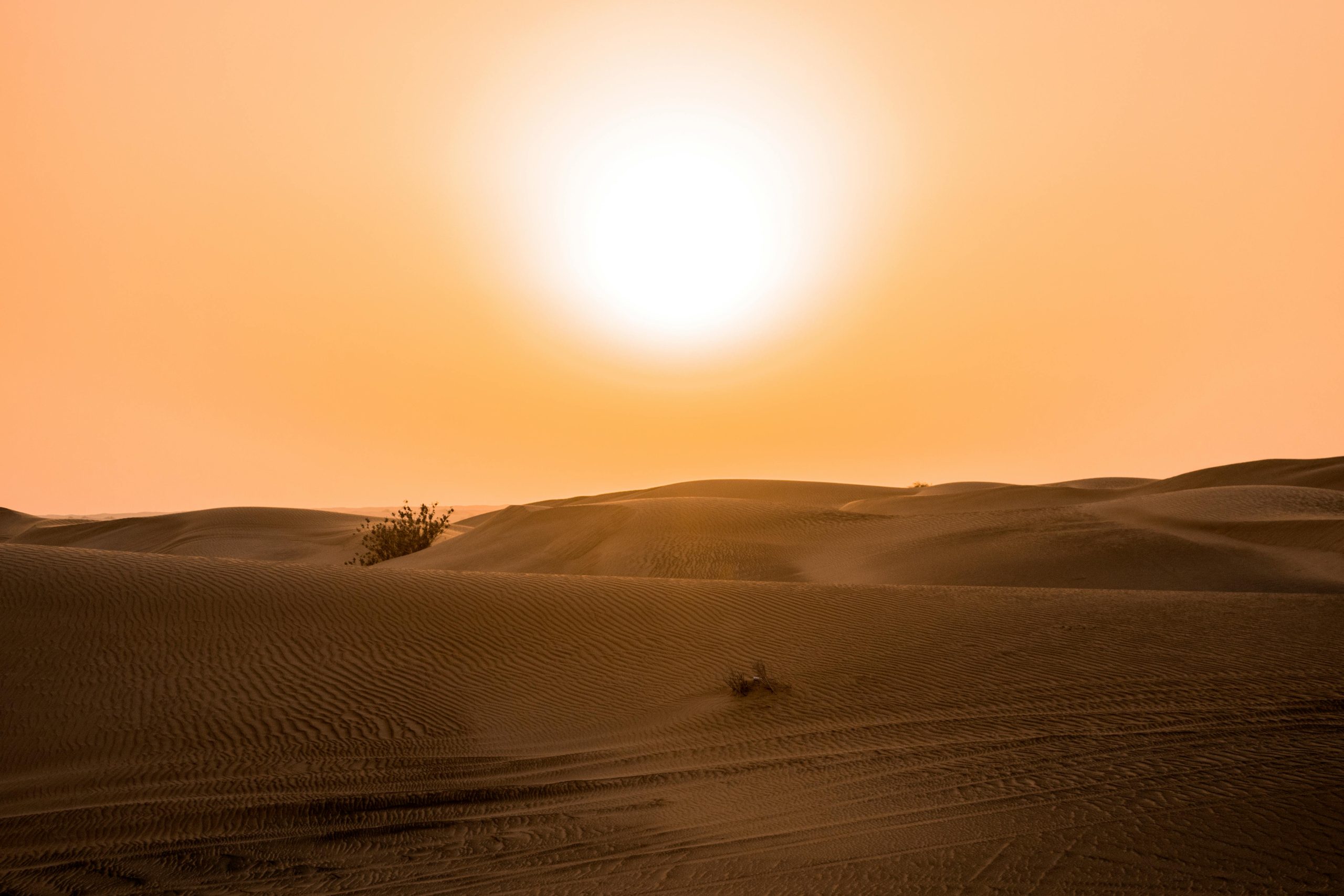 Dangerous heat grips much of Europe, with more to come
