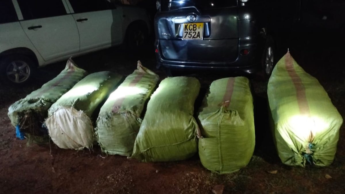 Kisii drug bust: DCI intercepts Toyota Sienta, recovers 5 gunny bags of bhang