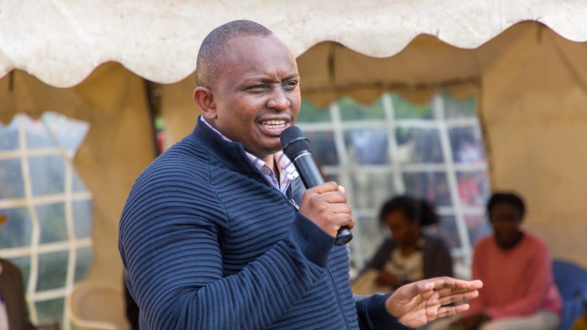 Ngogoyo challenges Ruto to remove UDA MPs heading parliamentary committees