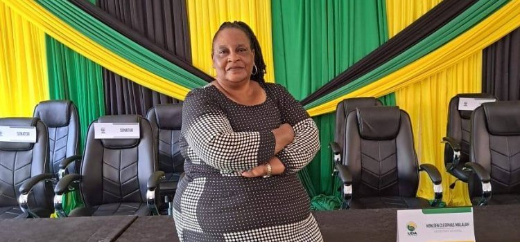 Orwoba out, Consolata Nabwire in – IEBC announces UDA Senate change