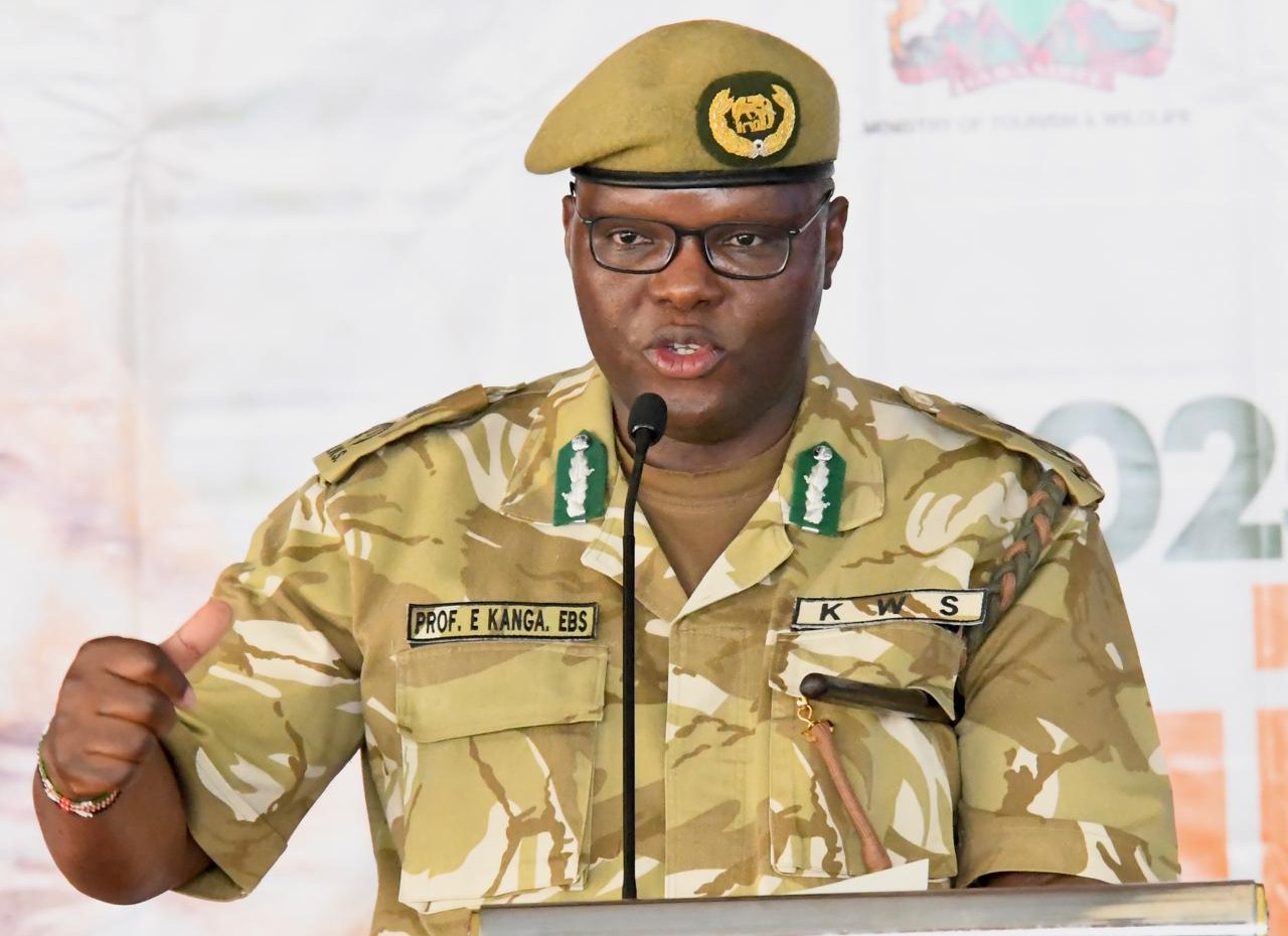 2 KWS officers attacked by buffalo