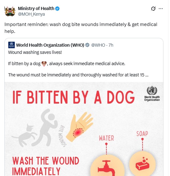Ministry of Health on dog bites. PHOTO/screengrab by K24 Digital /@MOH_Kenya