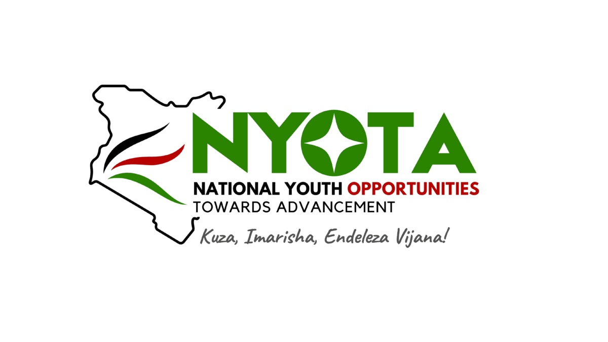 Govt cautions NYOTA applicants on fake job sites