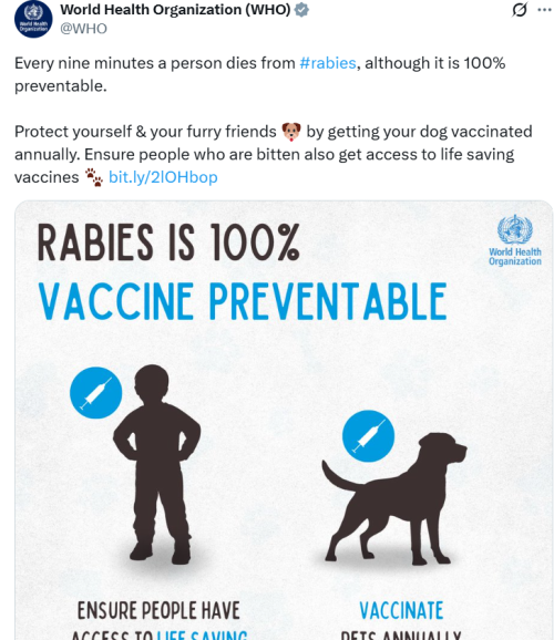WHO’s post on warning against rabies. PHOTO/A screengrab by K24  Digital /@WHO/X
