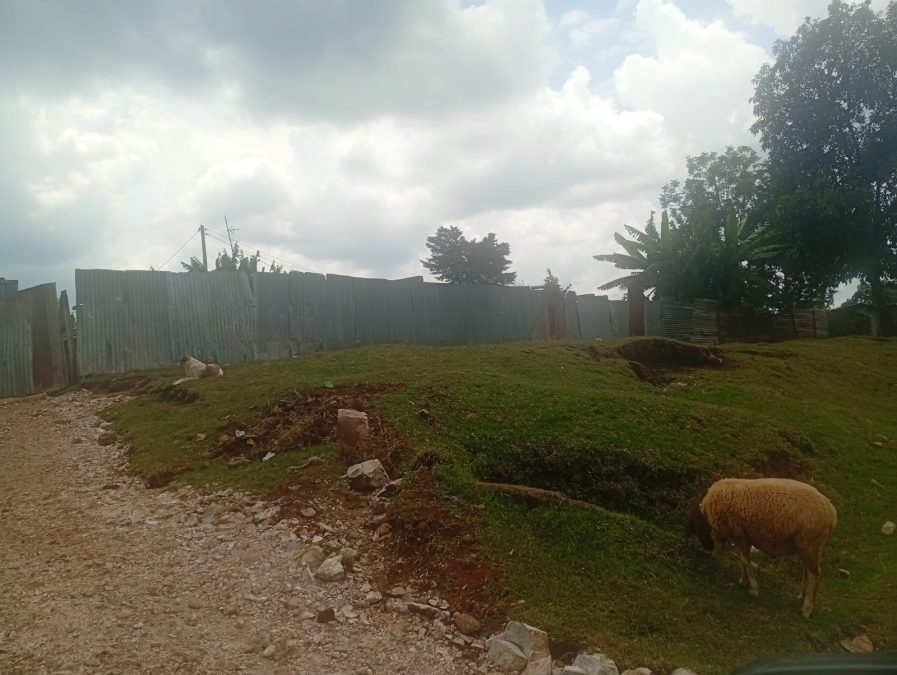 The scene outside the couple’s home in Singorwa village, Kapsabet, where the fatal stabbing occurred inside. PHOTO/Isaiah Cheruiyot