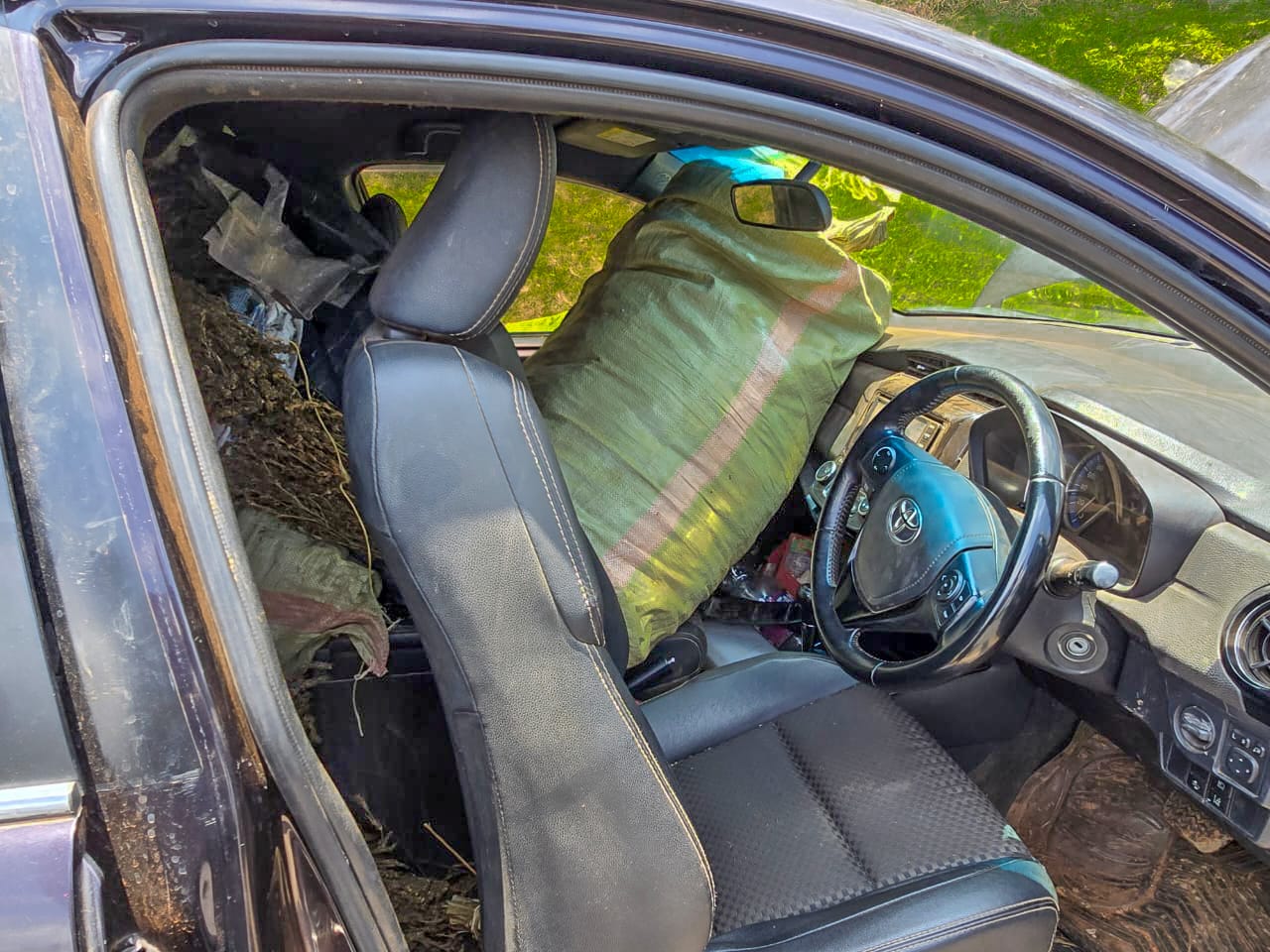 Police seize bhang worth Ksh4.7M in Kakamega