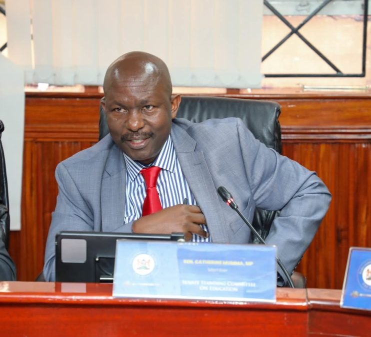 Nyamira Senator Okong'o Mogeni during a past function. PHOTO/https://www.facebook.com/okongo.mogeni.14