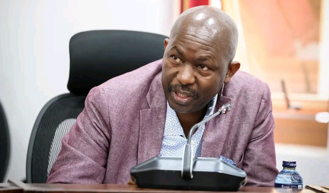 Senator Omogeni: UDA’s conduct signals panic over likely 2027 defeat