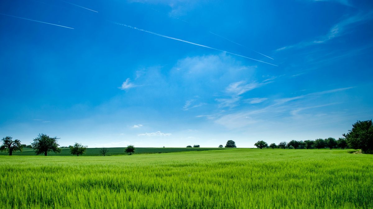 What every Kenyan needs to know about land ownership
