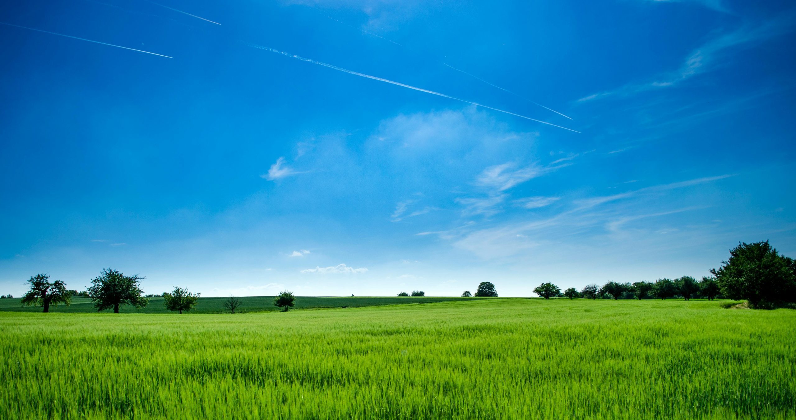 What every Kenyan needs to know about land ownership
