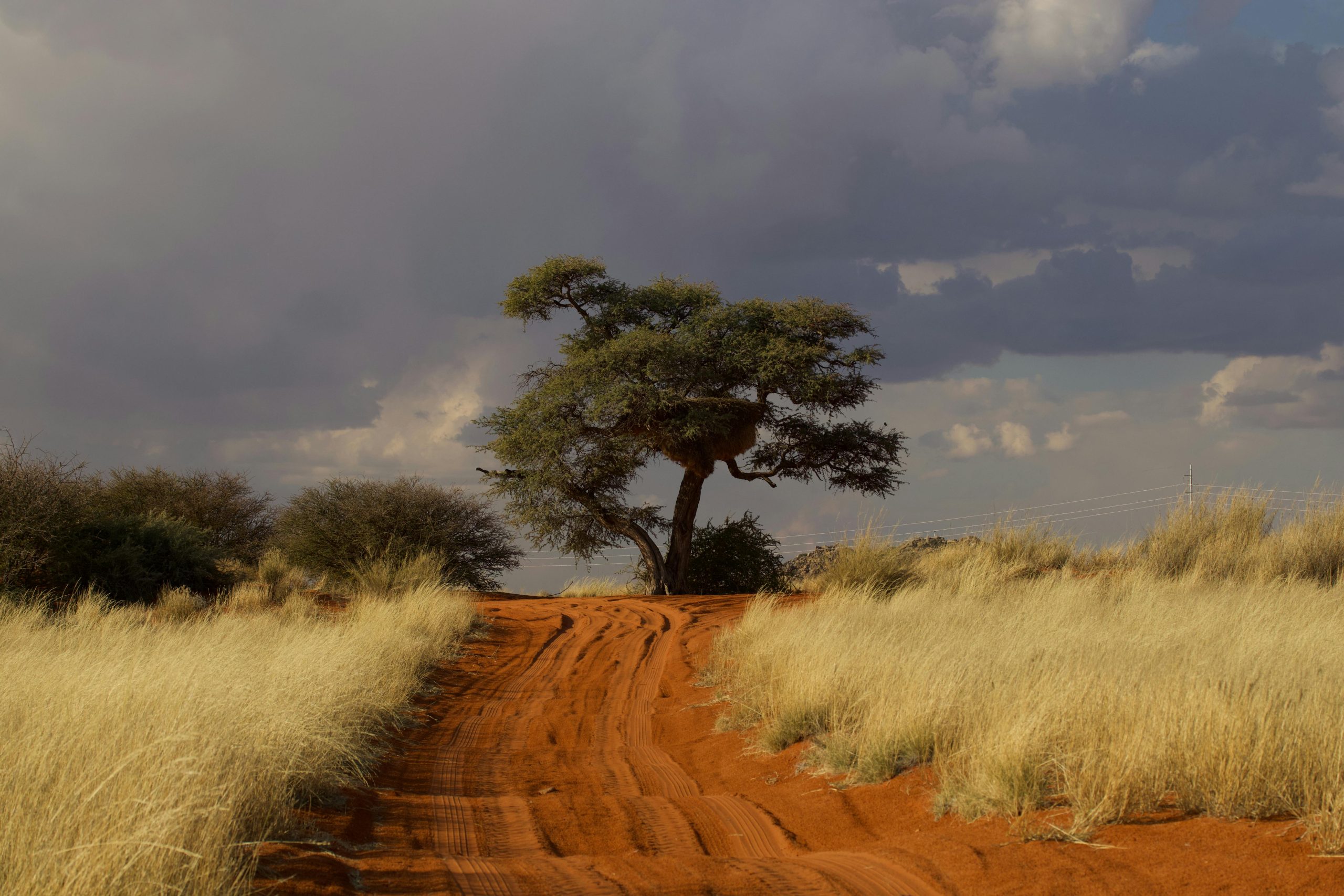 Want to buy land safely in Kenya? Follow these steps