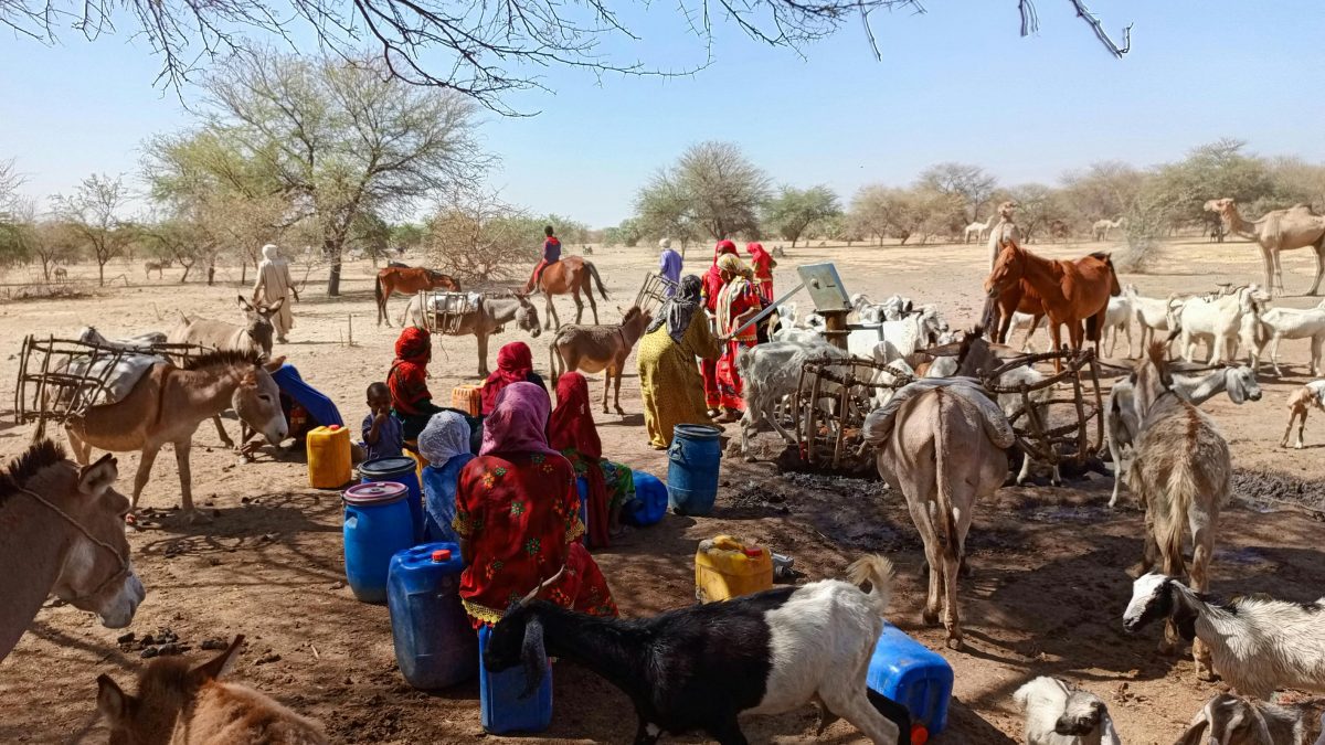 Study: Dry spell linked to 29 per cent surge in suicidal thoughts among women in rural Kenya