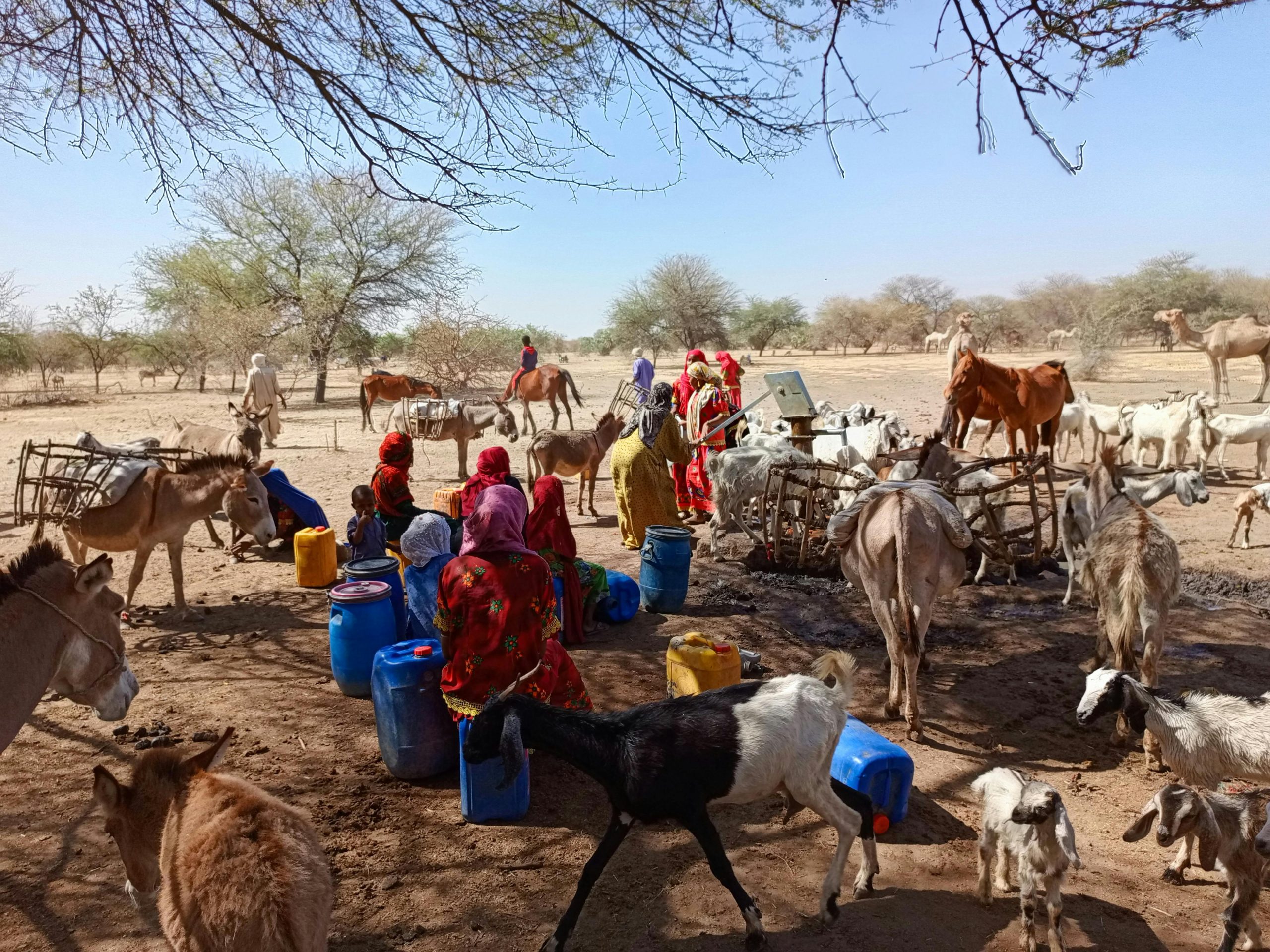 Study: Dry spell linked to 29 per cent surge in suicidal thoughts among women in rural Kenya