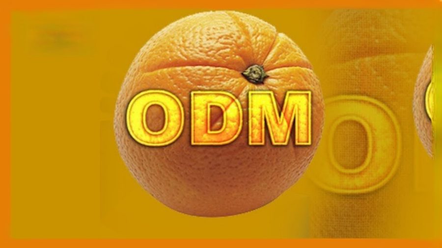 Violence disrupts Kasipul ODM nominations, exercise delayed