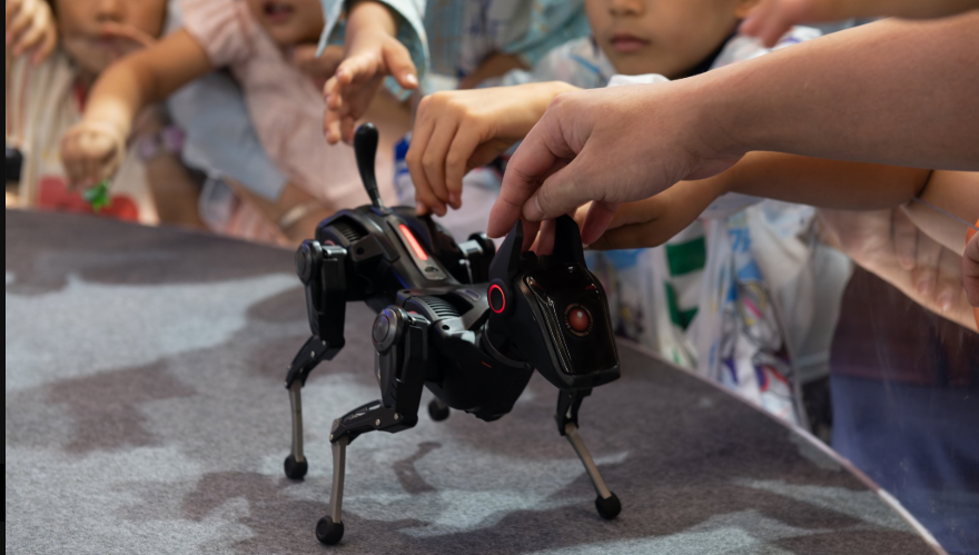 Details of a robot programmed to combat fear and loneliness in hospitals